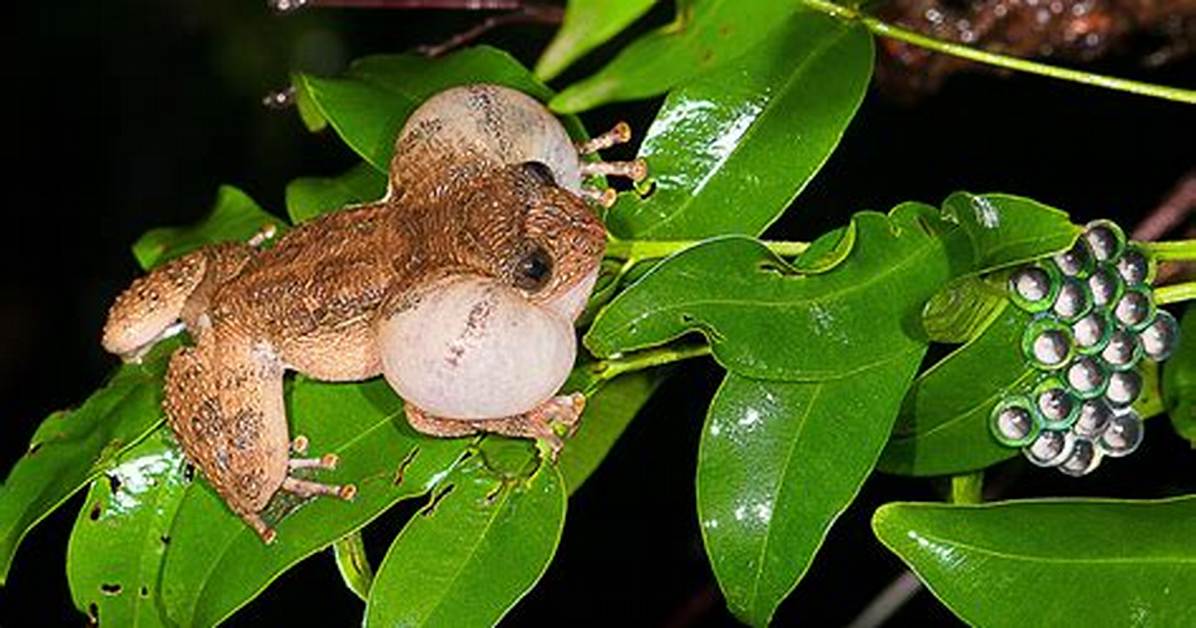 What Is Mating Method