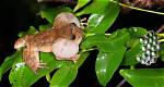 What Is Mating Method