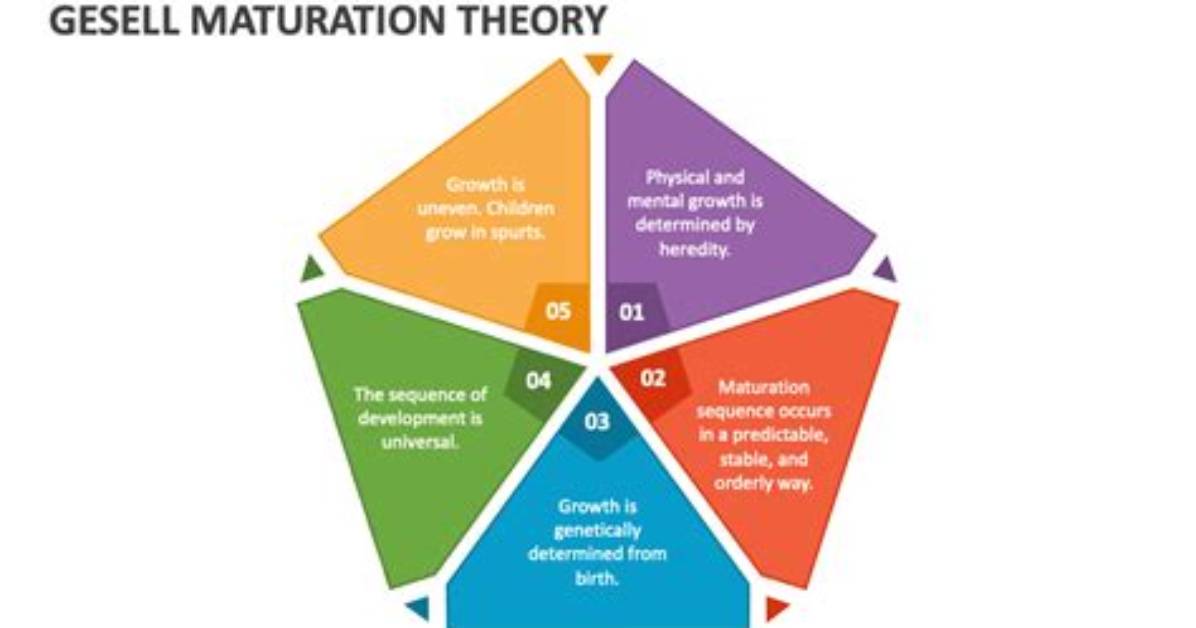 What Is Maturation Explain with Example
