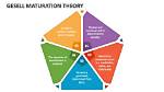 What Is Maturation Explain with Example