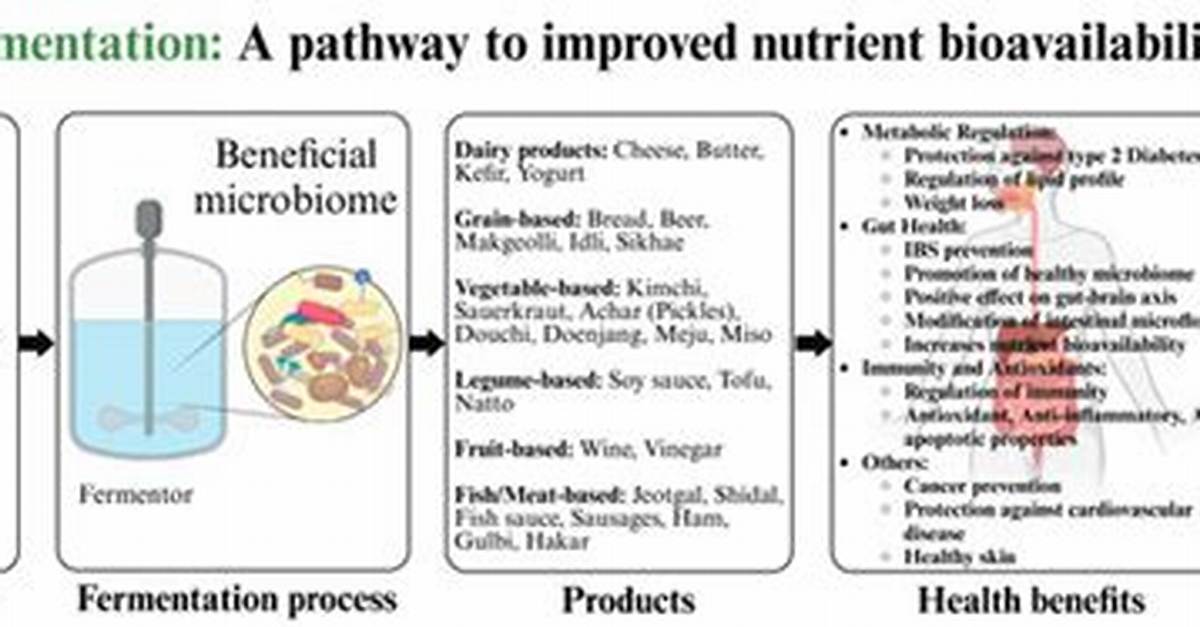 What Is Microbial Fermentation?
