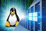 What Is Microsoft Doing with Linux?