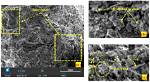 What Is Microstructural Characterization?