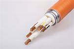 What Is Mims Cable?