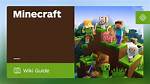 What Is Minecraft Ign?