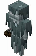 What Is Minecraft Stray?