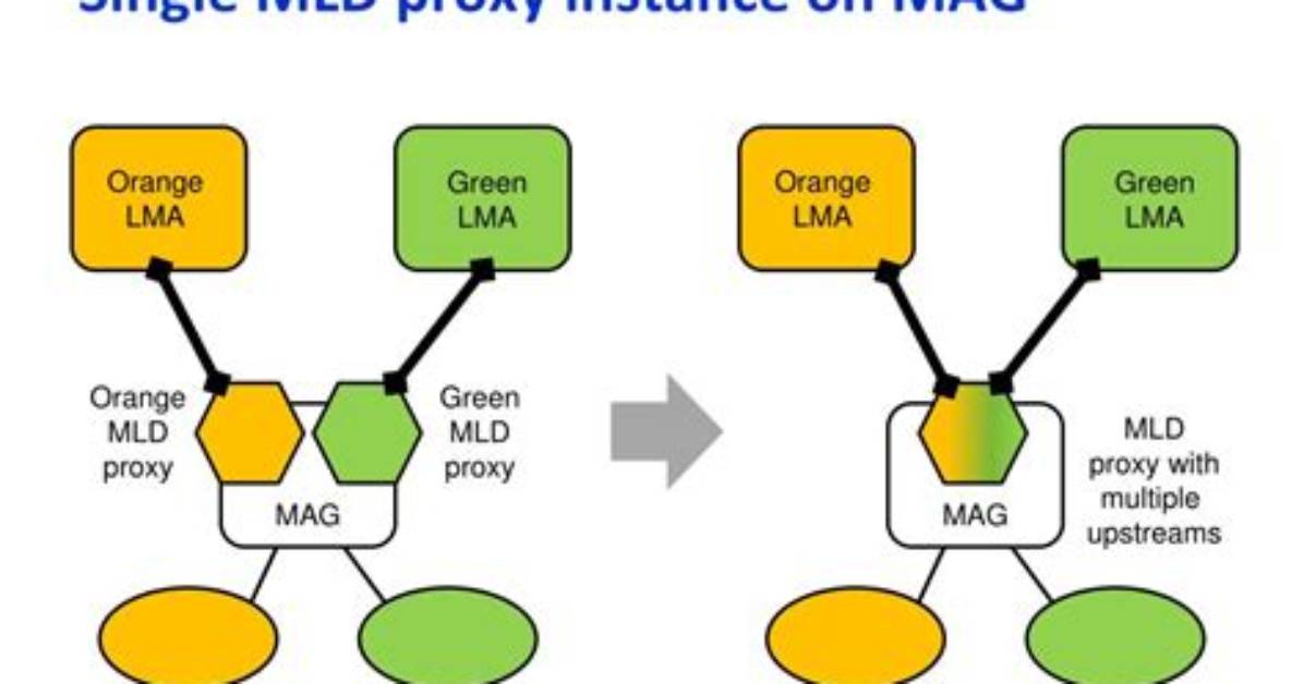 What Is Mld Proxy?