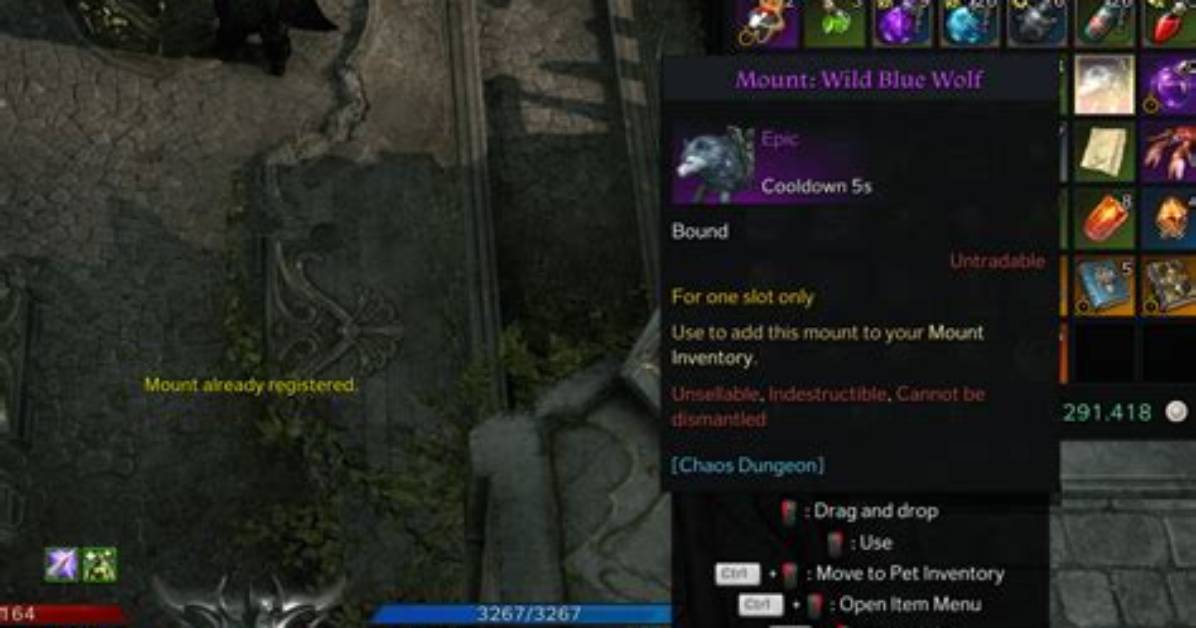 What Is "Mount" [Duplicate]