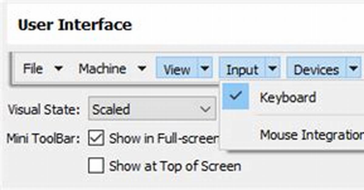 What Is Mouse Pointer Integration?