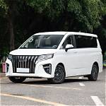 What Is Mpv