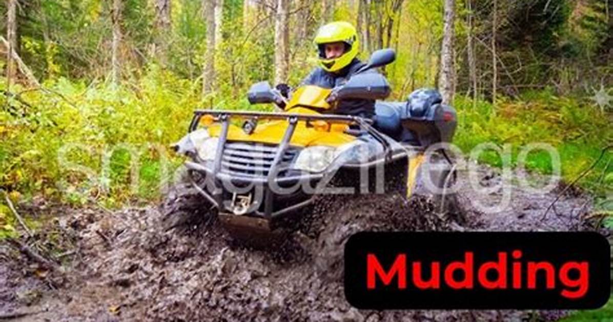What Is Mudding