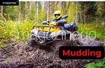 What Is Mudding