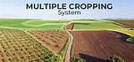 What Is Multiple Cropping System