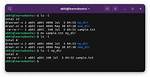 What Is Mv Command Ubuntu?