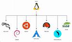 What Is My Linux Type?