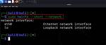 What Is My Network Interface Name Linux?