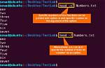 What Is N Command in Linux?