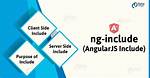 What Is Ng Include?