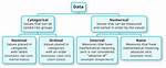 What Is Numerical Data Example? Check This out | What Is Numerical Data