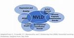 What Is Nvld