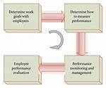 What Is Objective Performance?