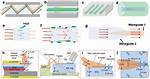 What Is Optical Waveguide?