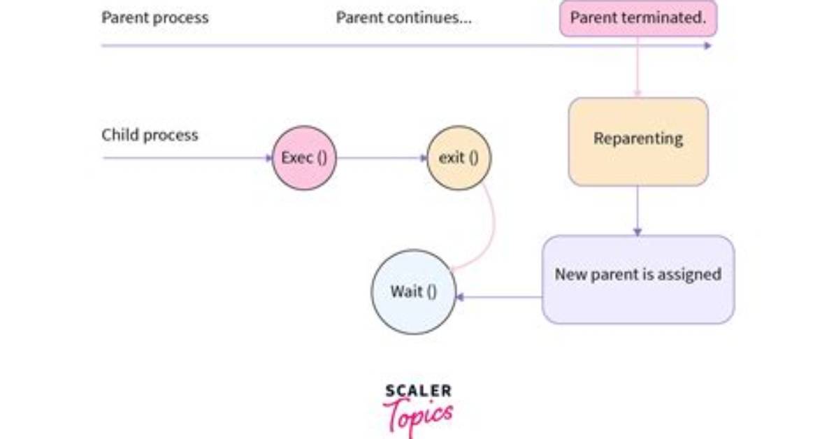 What Is Orphan Process Linux?