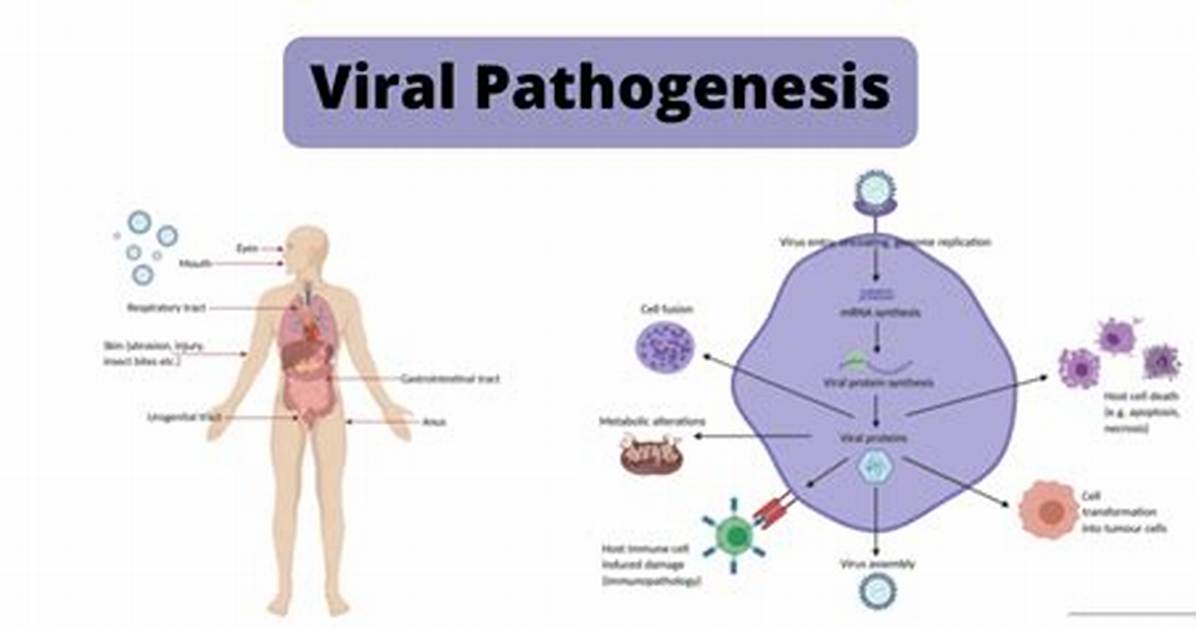 What Is Pathogenesis