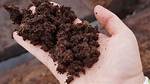 What Is Peat