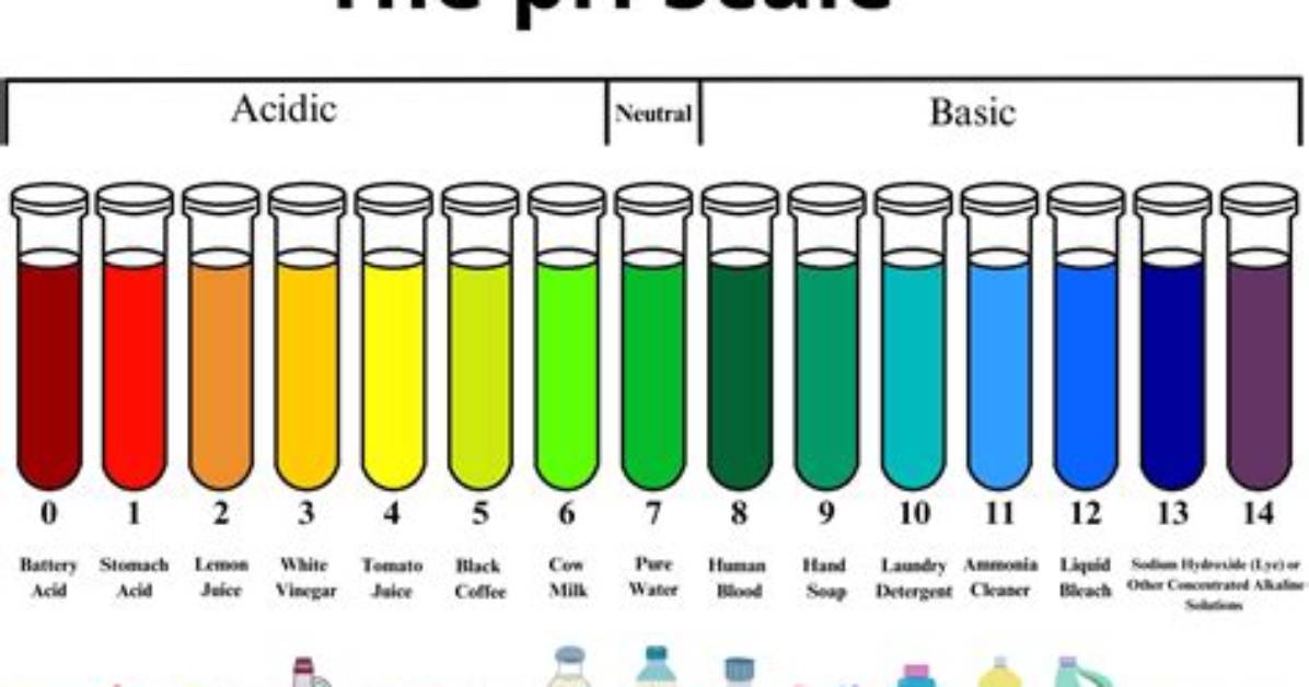 What Is Ph Chart