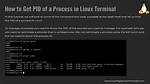 What Is Pid in Linux?