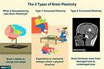 What Is Plasticity Example