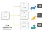 What Is Polymorphism in Java