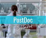What Is Postdoctoral Experience?