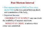 What Is Postmortem Interval?