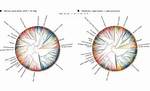 What Is Postpositional Case?