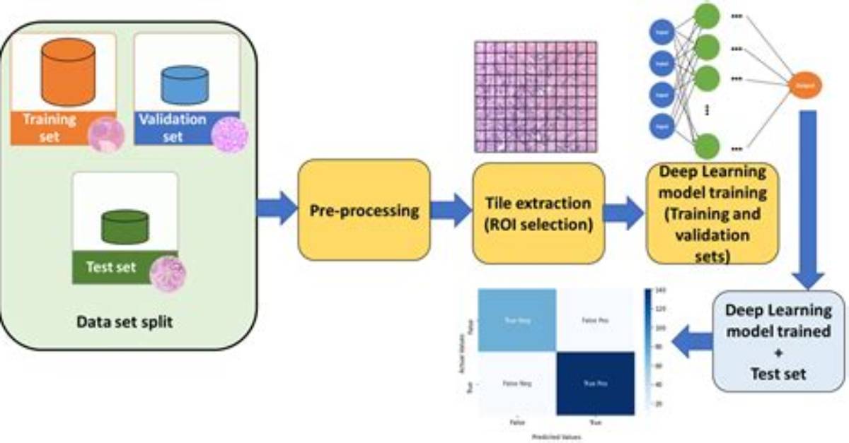 What Is Preprocessing in Deep Learning?