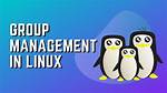 What Is Primary Group Linux?