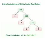 What Is Prime Factor