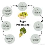 What Is Processed Sugar