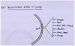 What Is pUC8