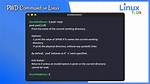 What Is Pwd in Linux Command?