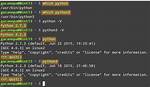 What Is Python Scripting in Linux?