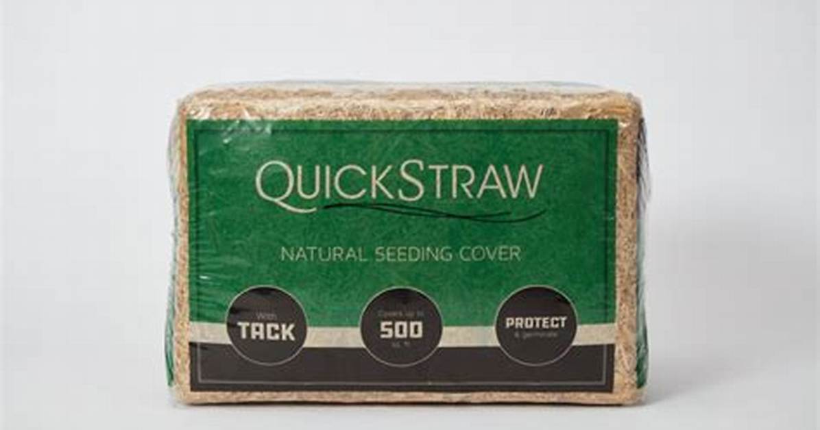 What Is Quick Straw