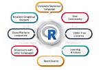 What Is R Coding Used For