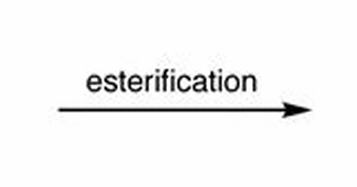 What Is Re Esterification?