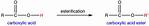 What Is Re Esterification?