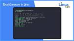 What Is Read Command in Linux?