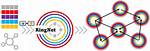 What Is Ringnet