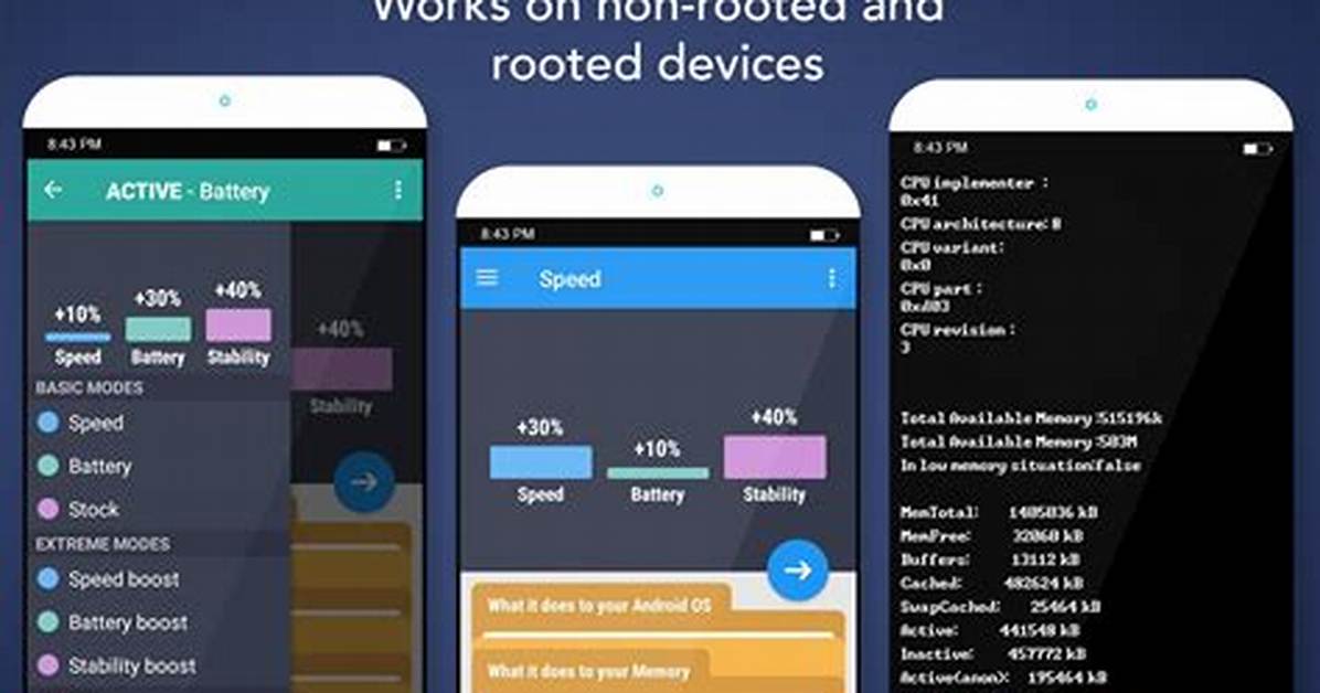 What Is Root Booster